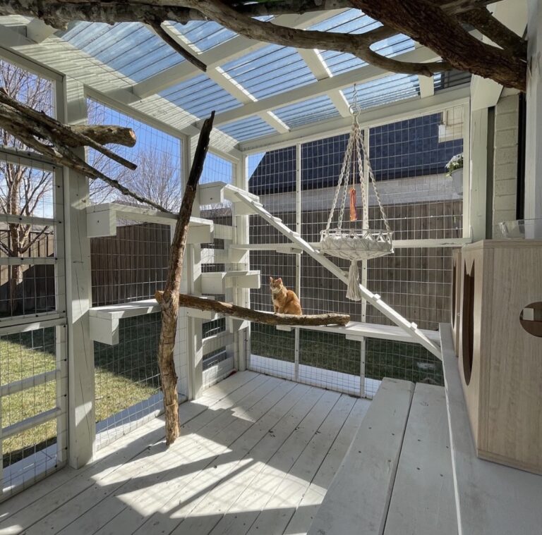 Structures Humane From Window Boxes to Freestanding Structures: Exploring the World of ...