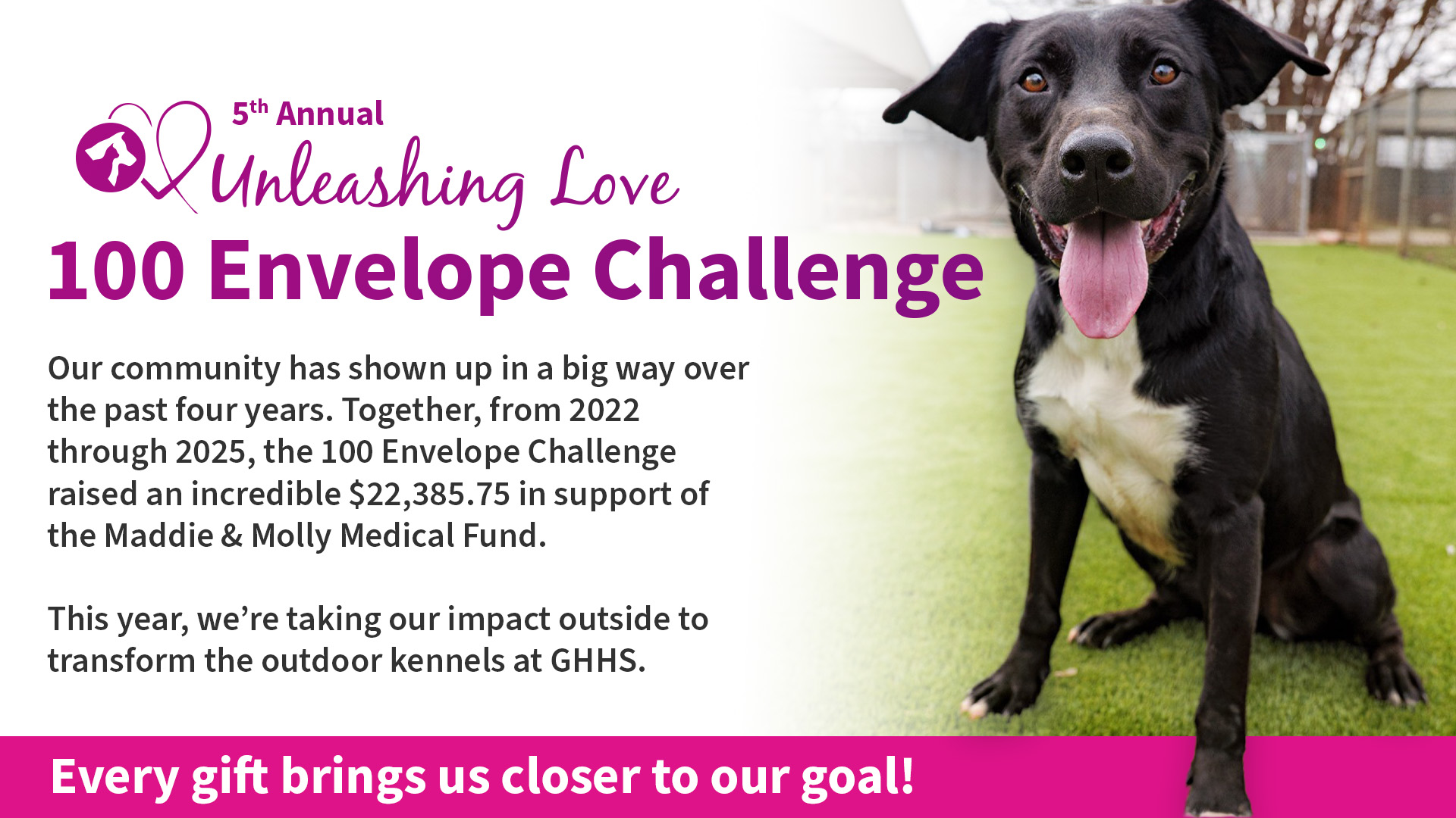 2026.02.12 - 100 Envelope Challenge - Newsletter