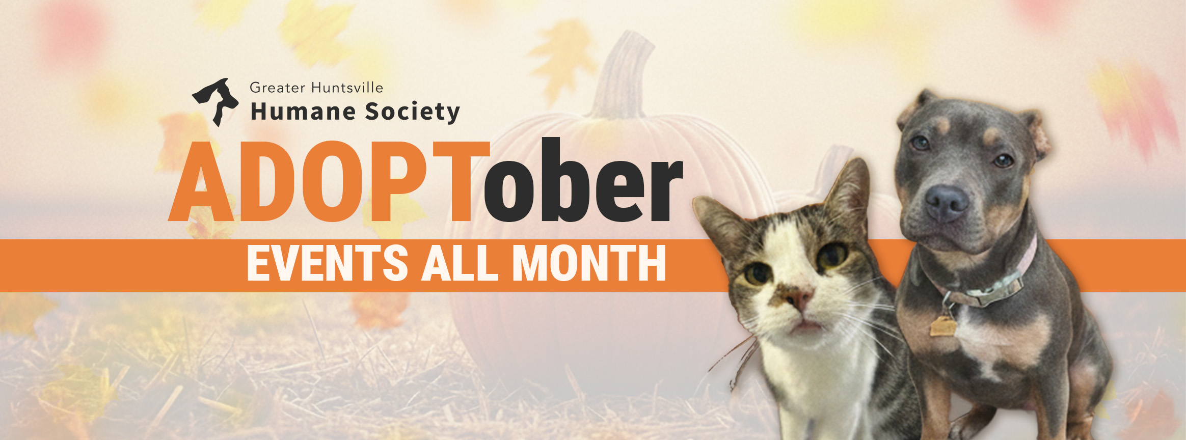 10-GHHS-Facebook-Adoptober