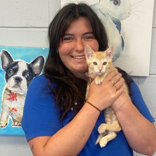 Gracie – Website Gracie - Website