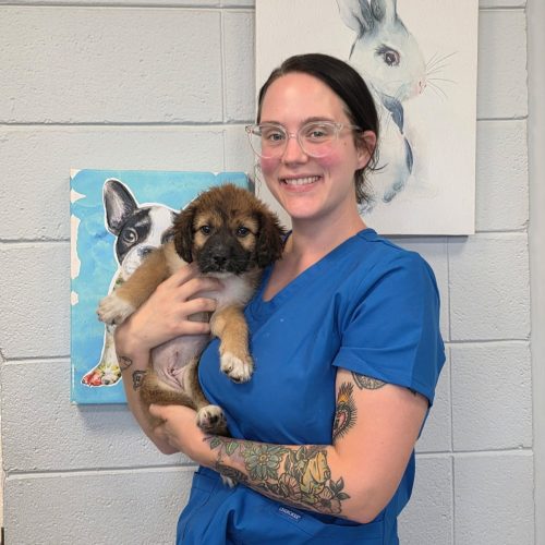 Jess – Website Jess - Website